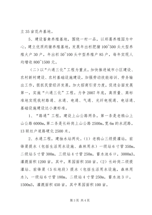 村全面建设小康社会发展规划 (5).docx