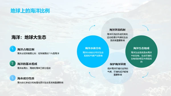 海洋环境全解析