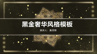黑金雪花奢华风PPT模板