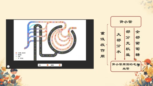 初中生物学[期末专区]七年级下册第四章和第五章复习课件(共39张PPT)
