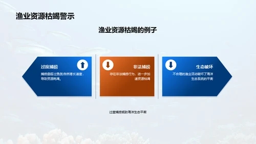 可持续渔业管理