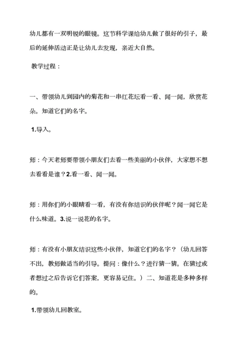 幼儿园科学教案的格式.docx