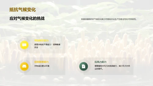 转基因植物
