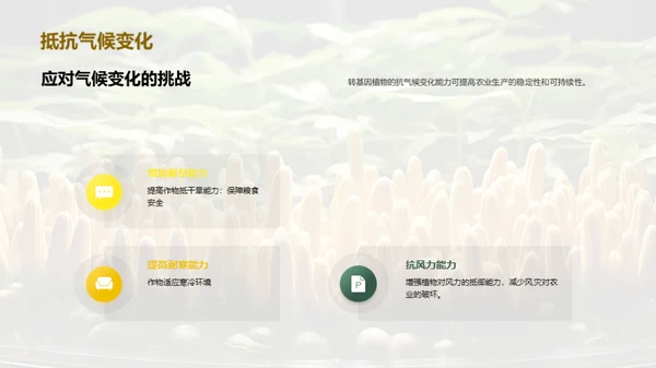 转基因植物