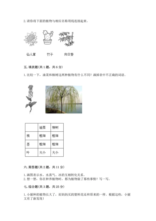 教科版科学一年级上册第一单元《植物》测试卷精品（综合题）.docx