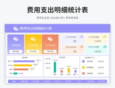 费用支出明细统计表