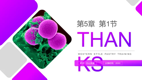 基因突变和基因重组初高中生物PPT课件