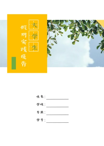 大学生假期社会实践报告范例