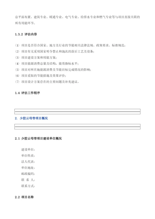少胶云母带项目节能评估报告模板.docx
