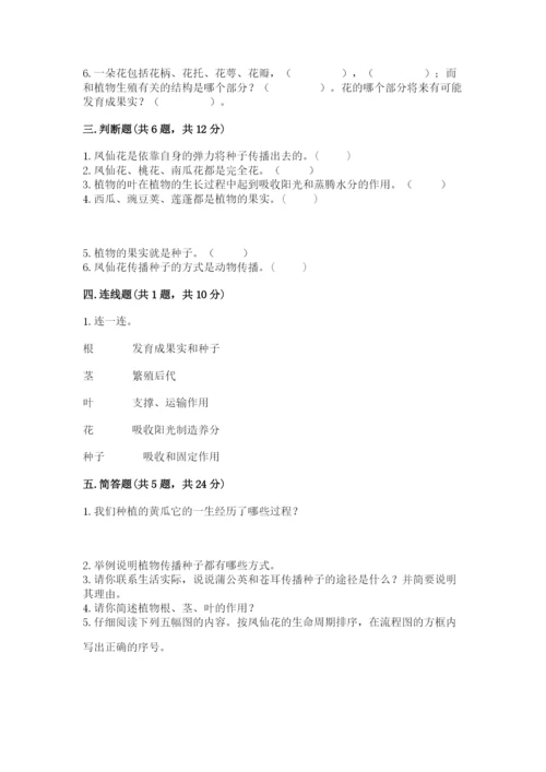 科学四年级下册第一单元植物的生长变化测试卷精品（考点梳理）.docx