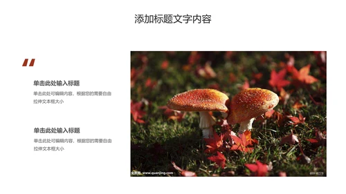 蘑菇菌类养生文化宣传动态PPT模板