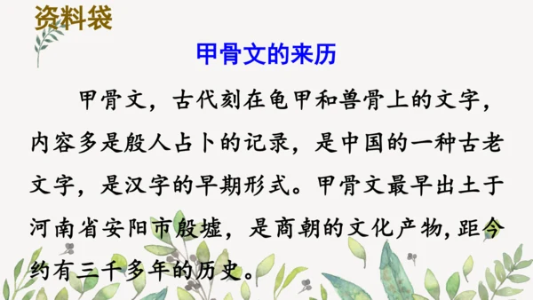 识字3 贝的故事（第一课时）课件