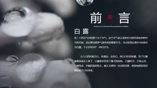 二十四节气白露冰雪融化通用PPT模板