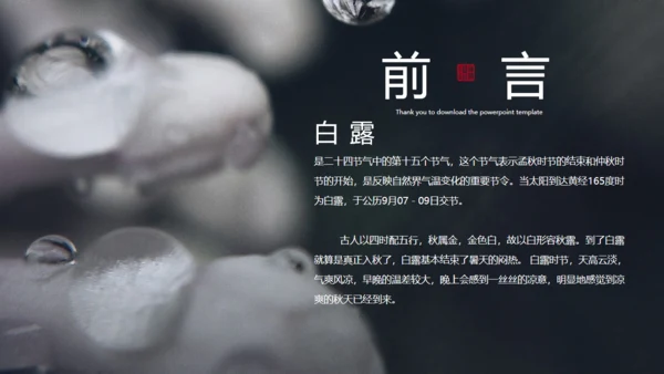 二十四节气白露冰雪融化通用PPT模板