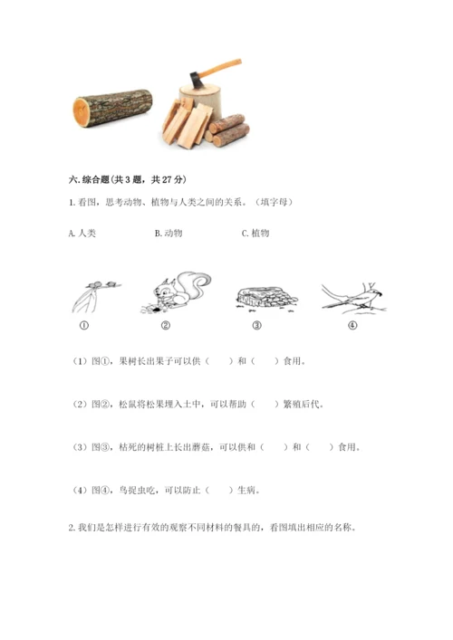 教科版二年级上册科学期末测试卷（中心小学）.docx