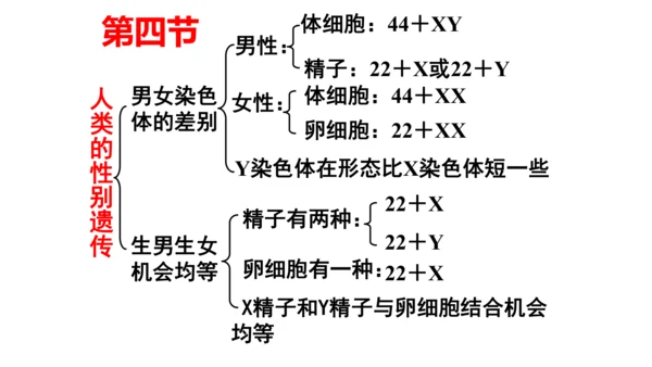 人教版生物八年级下册知识点总结