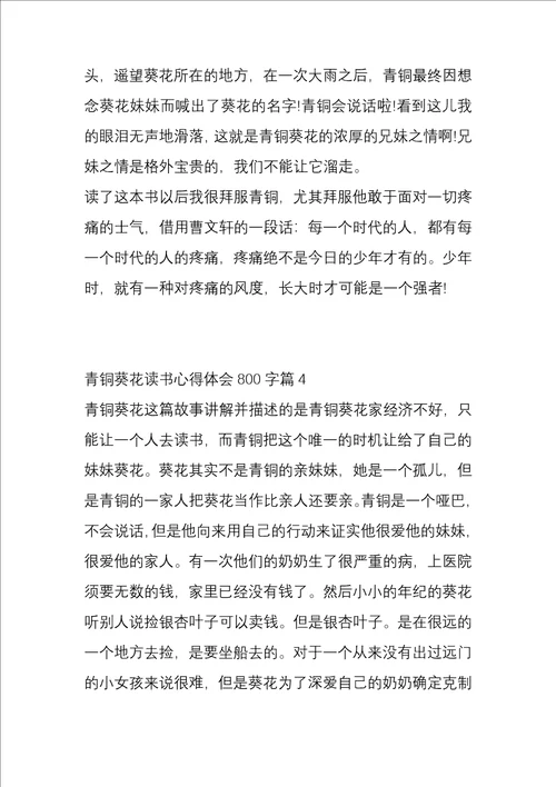 青铜葵花读书心得体会800字5篇