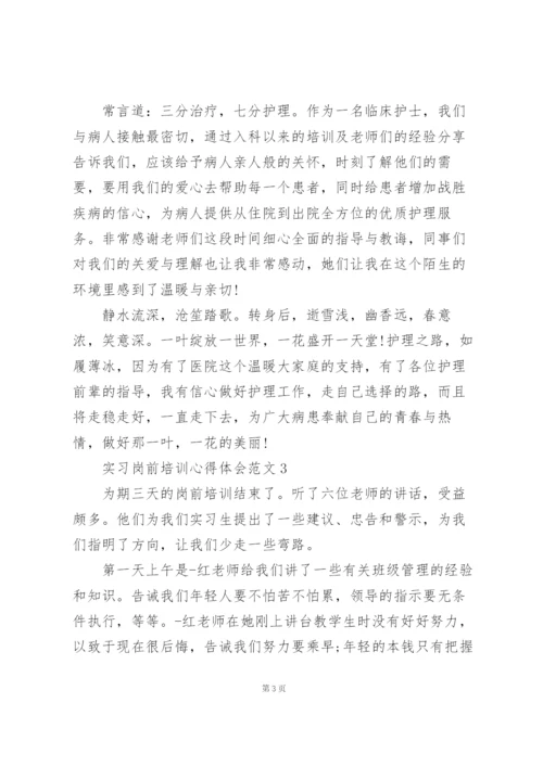 实习岗前培训心得体会范文5篇.docx