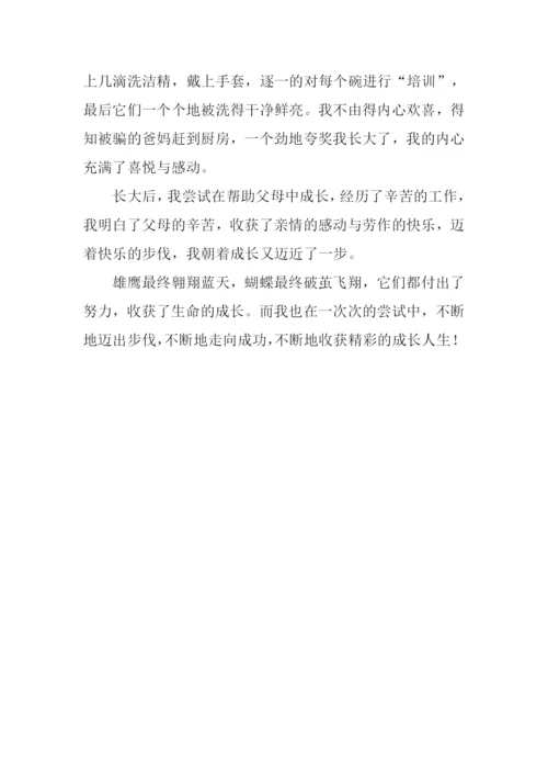 在尝试中成长作文-12.docx