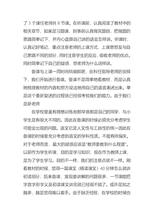 语文教师总结汇编八篇