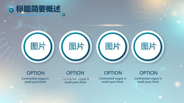 医院医疗生物科技公司工作总结PPT