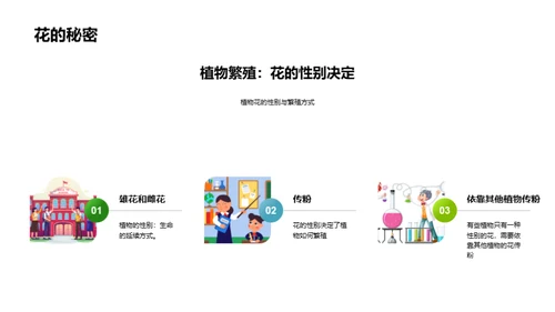 揭秘绿色之源