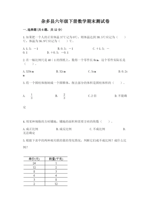 杂多县六年级下册数学期末测试卷（综合卷）.docx