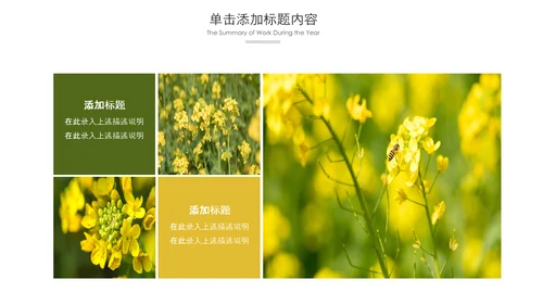 春天乡村旅游油菜花风景油菜花田PPT模板