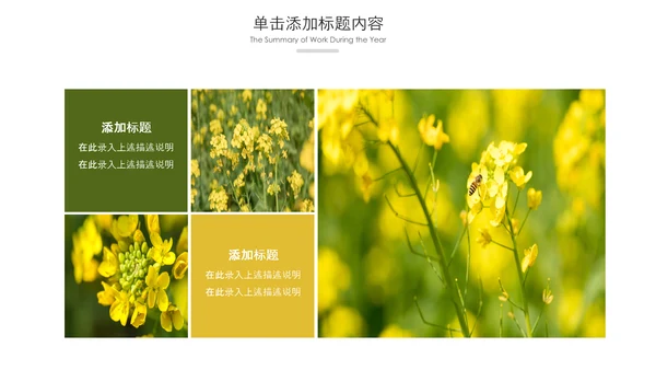 春天乡村旅游油菜花风景油菜花田PPT模板