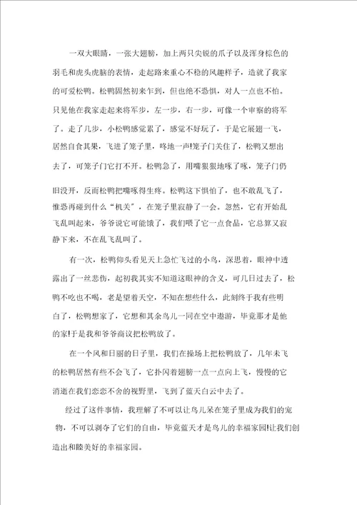 以松柏树为话题作文600字五篇精选