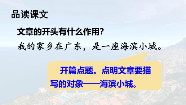第19课 《海滨小城》  课件