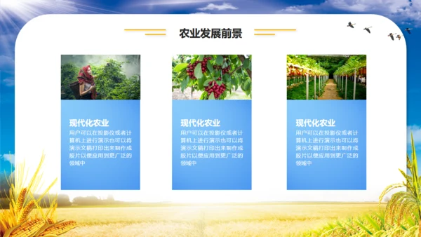 农业项目招商融资报告通用PPT模板