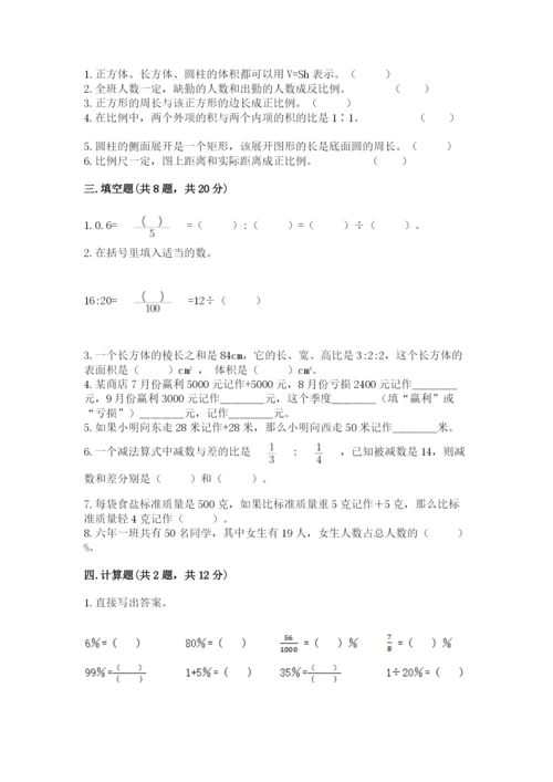 玉树县六年级下册数学期末测试卷（考点梳理）.docx