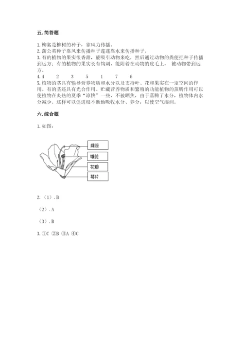 科学四年级下册第一单元植物的生长变化测试卷（原创题）.docx