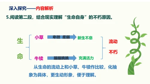 第16课《永久的生命》同步课件