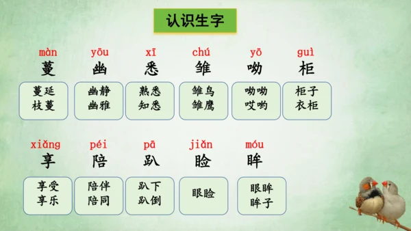 4.珍珠鸟 课件