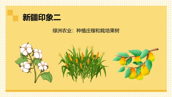 丝路明珠西北地区通用PPT课件