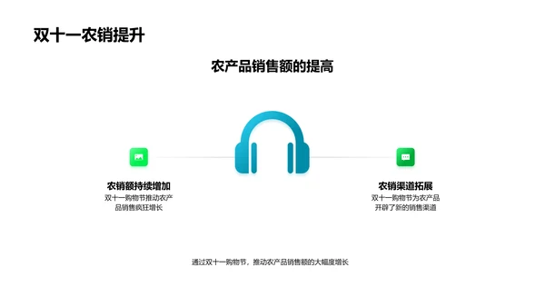 双十一农品销售攻略PPT模板