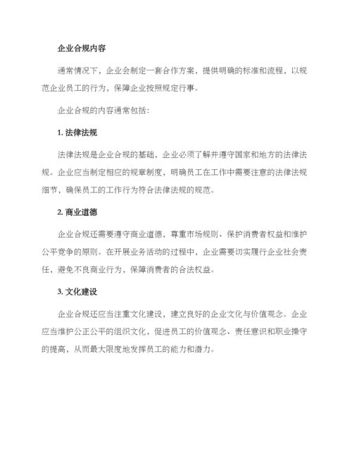 企业合规方案.docx