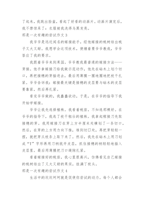 那是一次有趣的尝试作文_5.docx