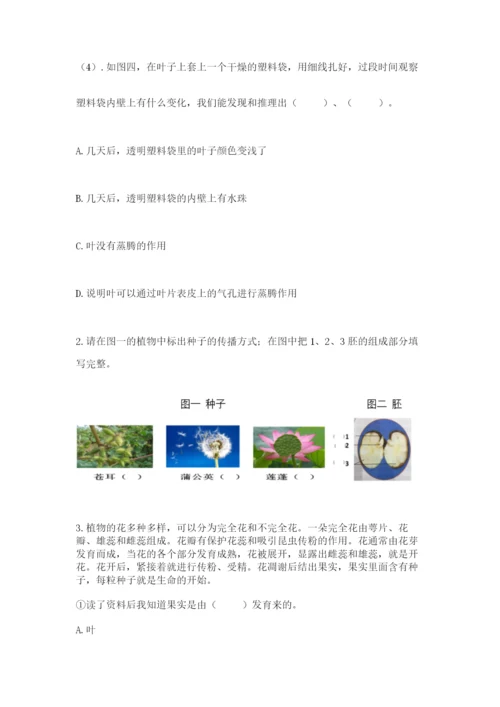 科学四年级下册第一单元植物的生长变化测试卷带答案（研优卷）.docx