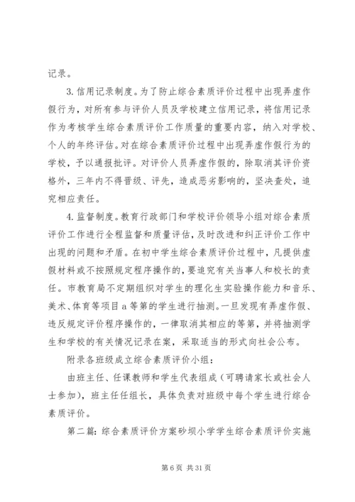 综合素质评价方案 (2).docx