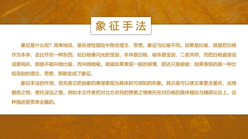 初中语文茅盾《白杨礼赞》PPT教学课件
