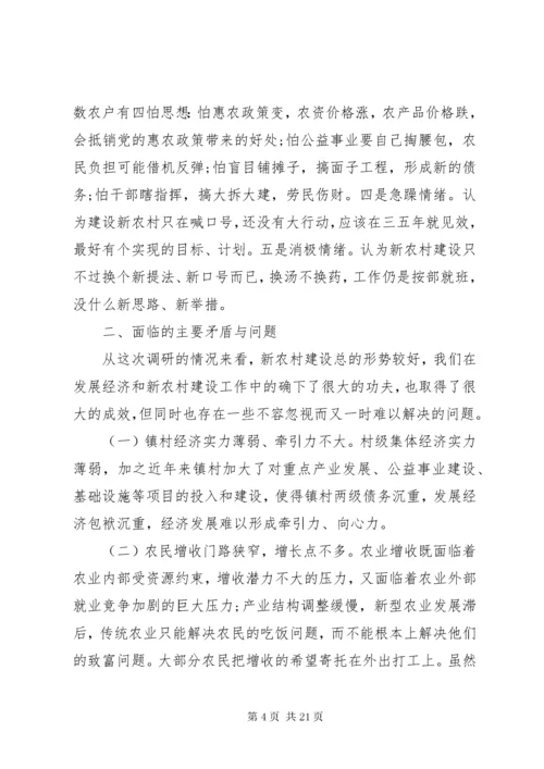 新农村调研报告范文.docx