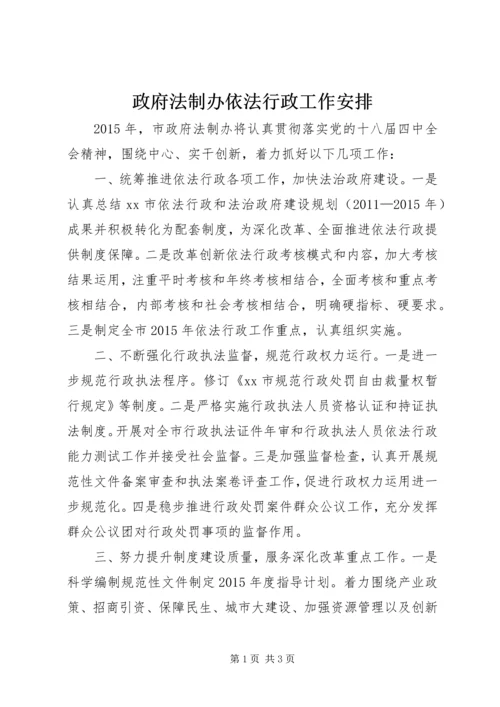 政府法制办依法行政工作安排.docx