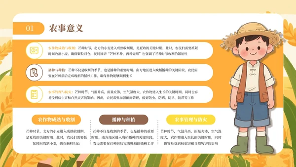 黄色芒种节气介绍通用PPT模板