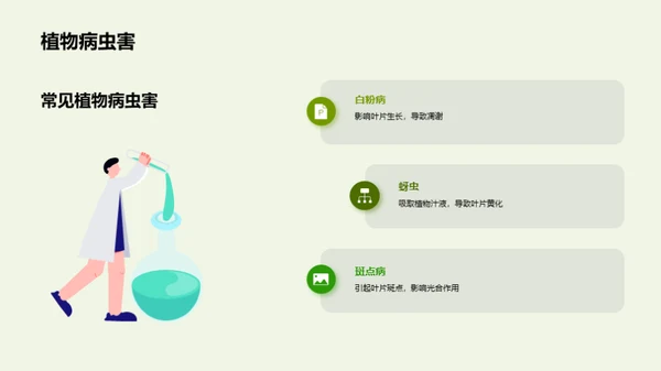 植物保护：解析与实践