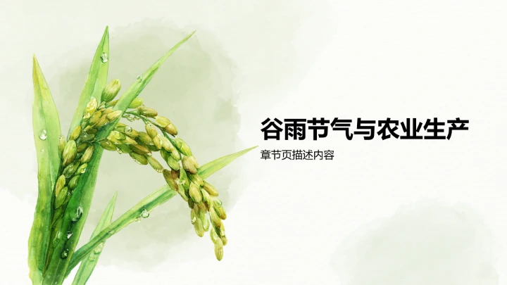 二十四节气谷雨PPT模板