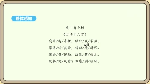 八年级语文上册第三单元课外古诗词诵读 庭中有奇树 课件