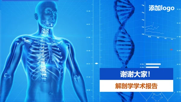 人体奥秘医学解剖学学术论文通用PPT模版